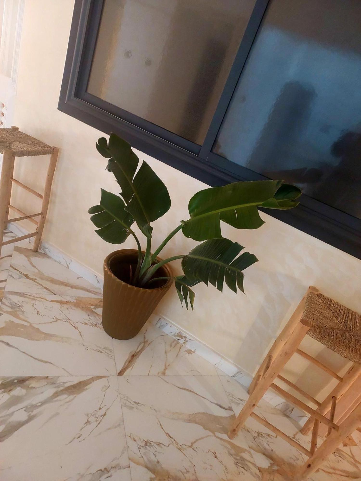 Mogador Appartements T6 As-Suwajra Zewnętrze zdjęcie