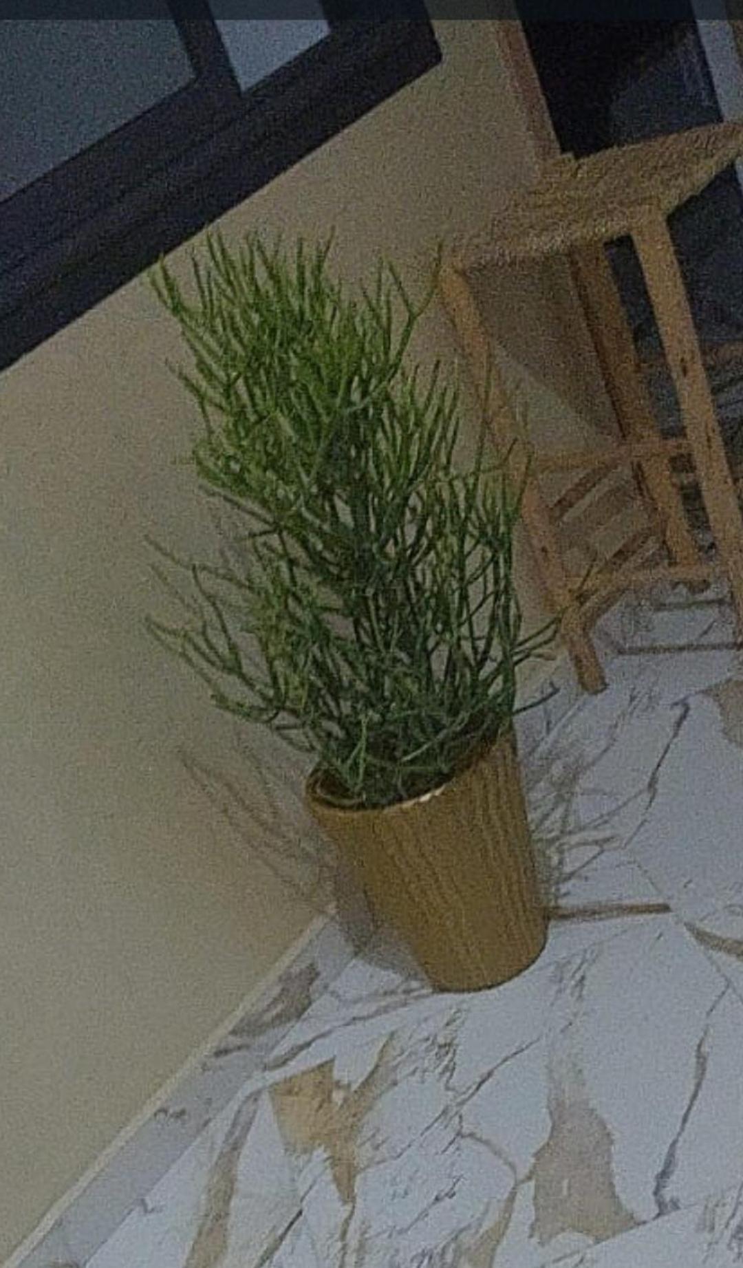 Mogador Appartements T6 As-Suwajra Zewnętrze zdjęcie